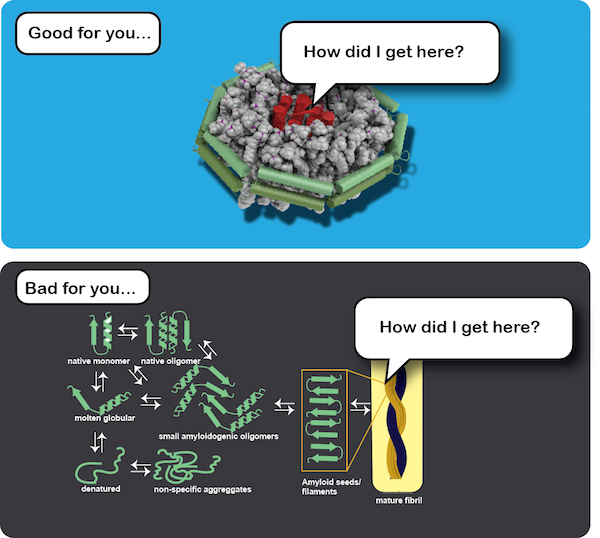 protein folding